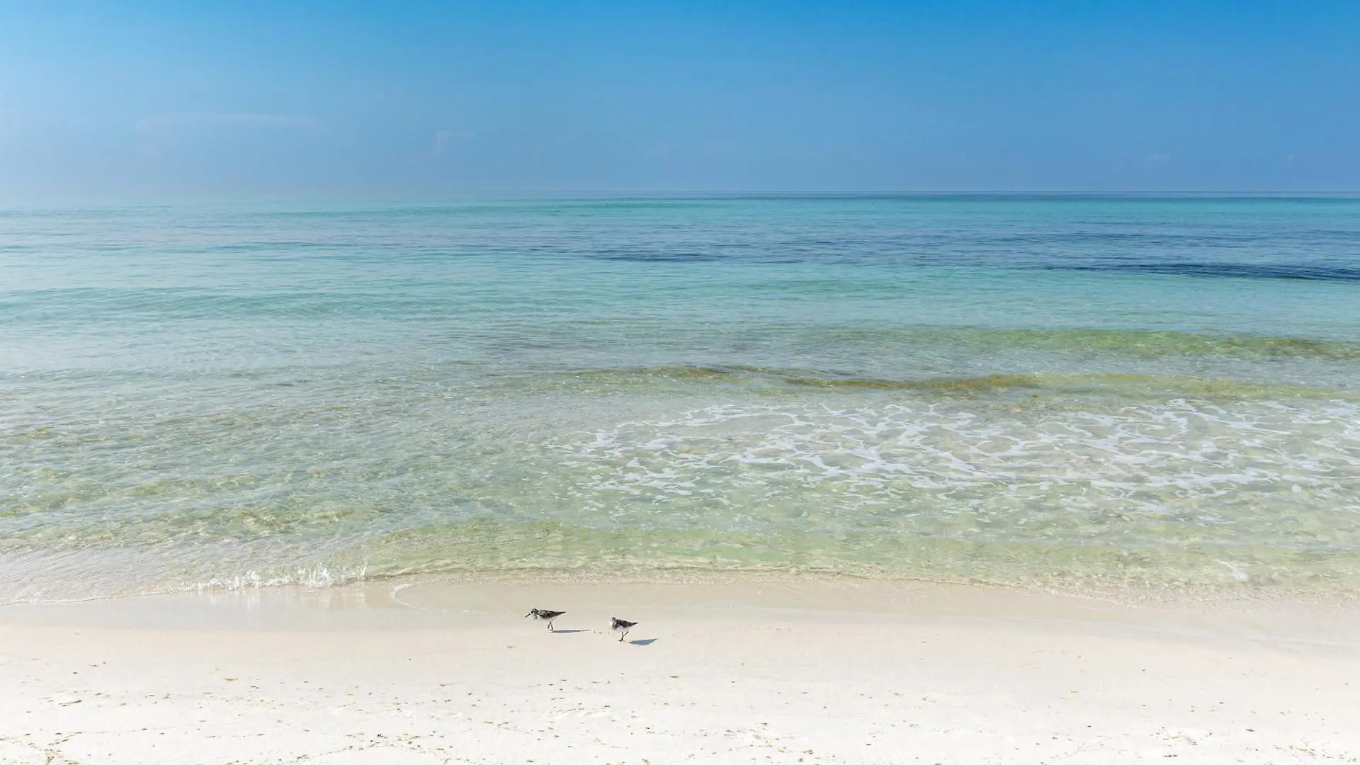 Apartment Oceania 607- By Holiday Isle Properties Destin